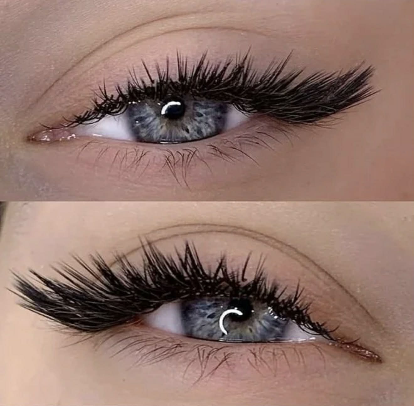 Kitty Lash Set
