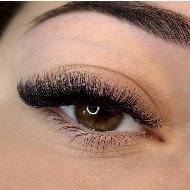 Volume Lash Set
