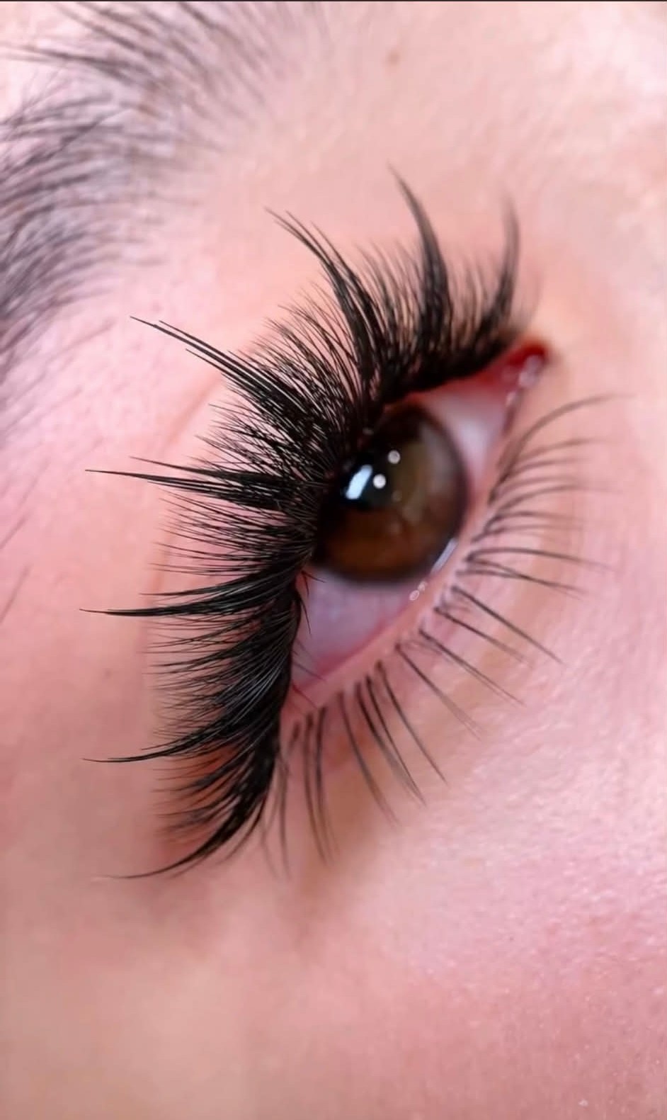 Anime Lash Set